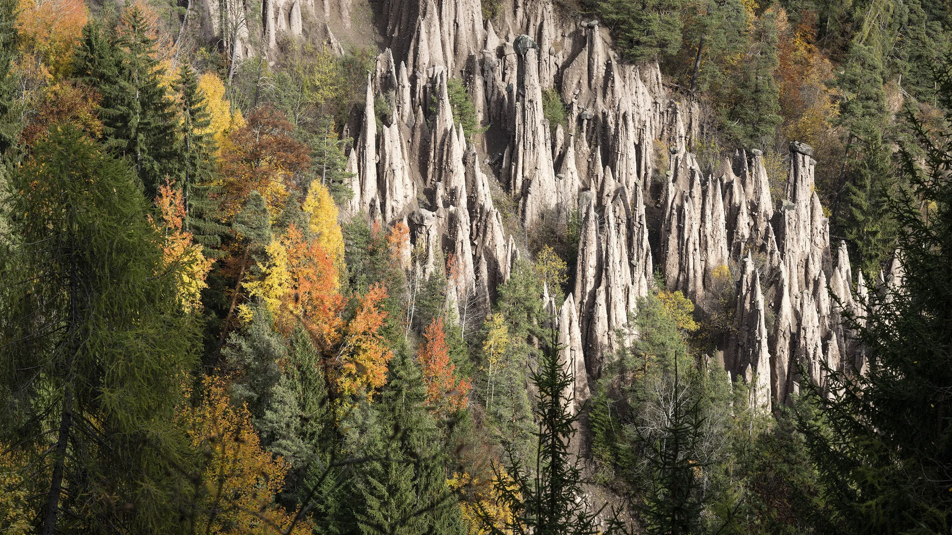 Ferienwohnung am Ritten: Armonia, Hof mit Musik Helle Felspyramiden ragen zwischen herbstlich gefärbten Bäumen aus dem Wald